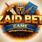 Zaid Bet Game mobile betting app interface